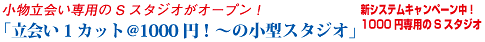 ���������p��S�X�^�W�I���I�[�v���I�u���1�J�b�g��1000�~�I�`�̏��^�X�^�W�I�v