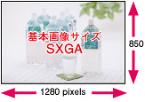 ��{�摜�T�C�YSXGA